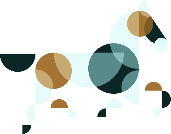 mediation-equine-grenoble équithérapie équicie