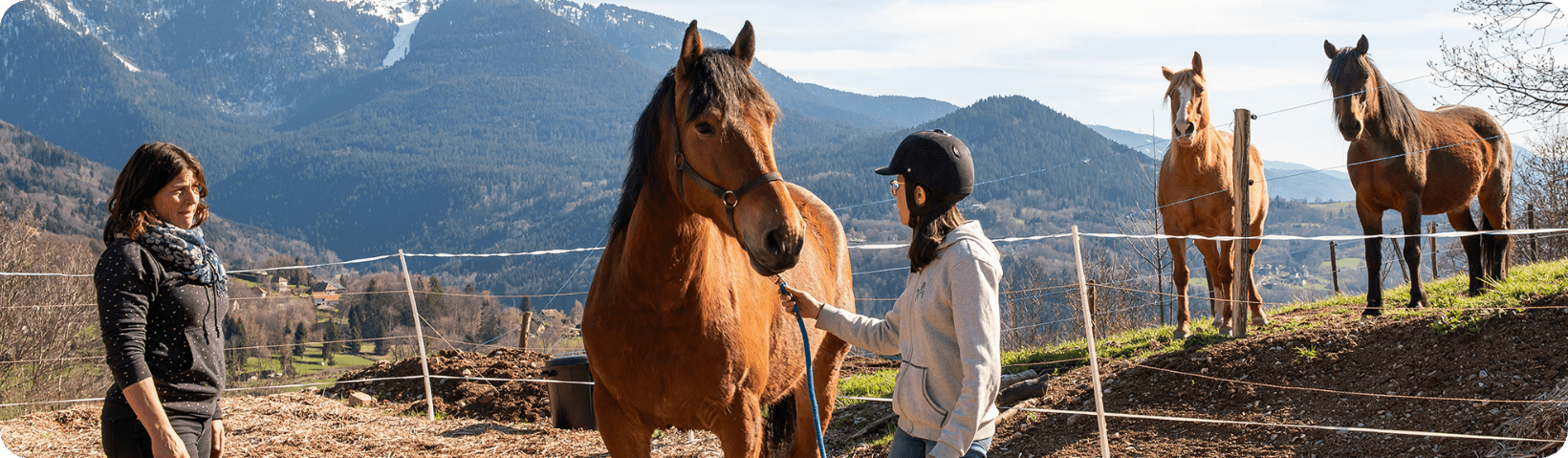 photo hero-asso médiation équine en Isère avec des professionnels de la médiation équine
